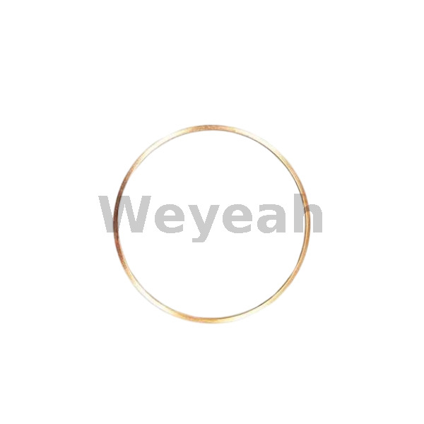Ring Gasket 12032893 for MWM TCG2020 Gas Engine And Deutz TBD620