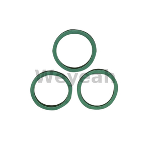 O-ring 100092 for Jenbacher Gas Engine