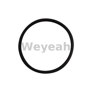 Jenbacher 323220 O-ring for Jenbacher Gas Engine