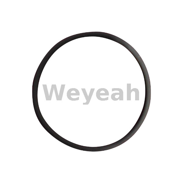 O-Ring 456748 for Jenbacher J420 Gas Engine