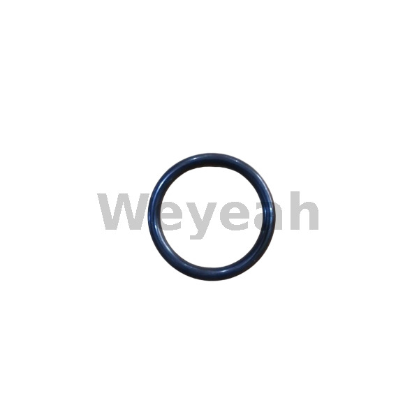 Jenbacher 232808 O-ring for Jenbacher Gas Engine