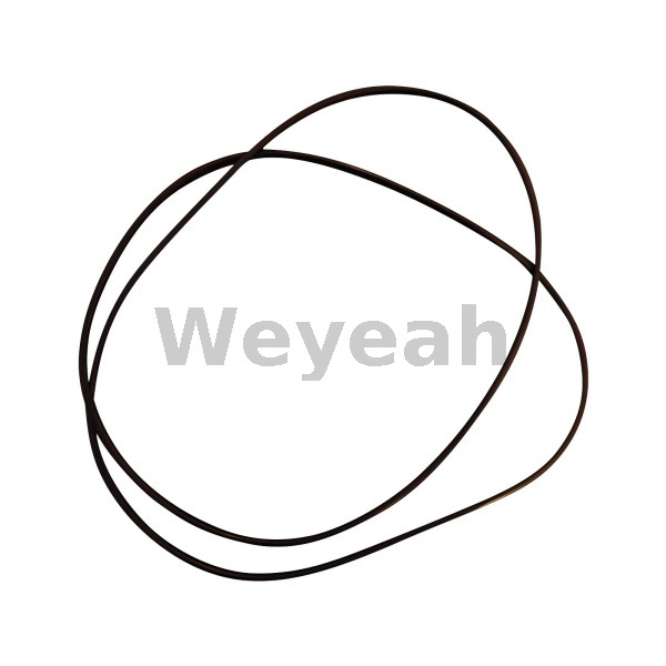 Jenbacher 212134 O-ring for Jenbacher Gas Engine