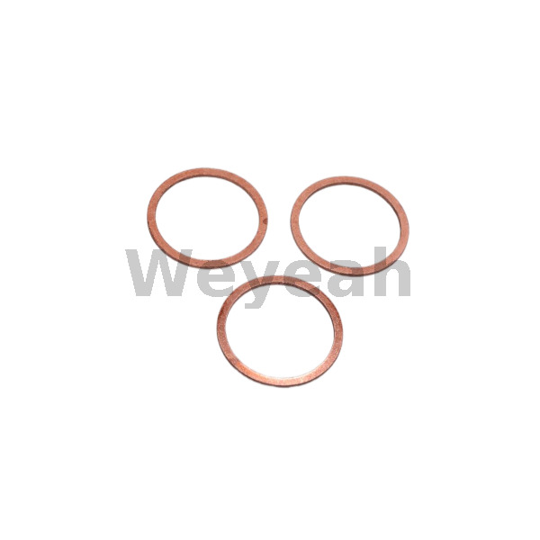 Sealing Ring 100839 for Jenbacher Gas Engine