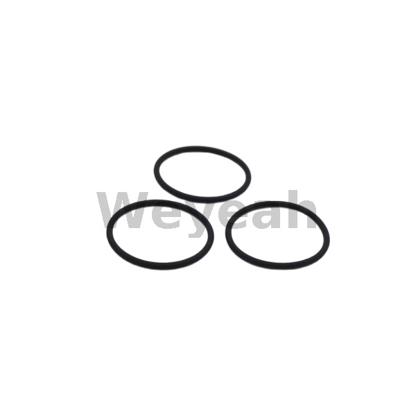Jenbacher 323220 O-ring for Jenbacher Gas Engine