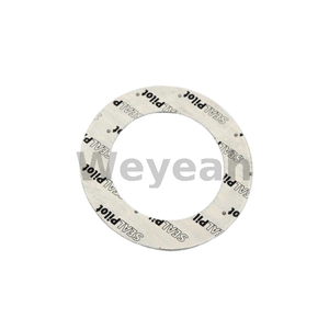 Gasket 100065 for Jenbacher Gas Engine