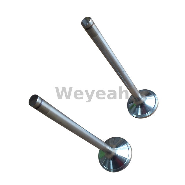 Intake Valve 375631 for Jenbacher Gas Engine