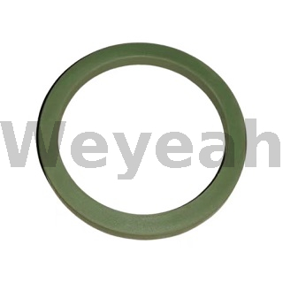 O-ring 100092 for Jenbacher Gas Engine