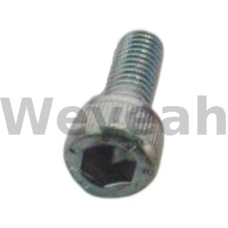 Cylinder Screw 101361 for Jenbacher J420 Gas Engine