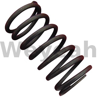 Valve Spring 174469 for Jenbacher Gas Engine