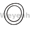 Jenbacher 222725 Sealing Ring for Jenbacher Gas Engine