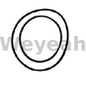 Jenbacher 222725 Sealing Ring for Jenbacher Gas Engine