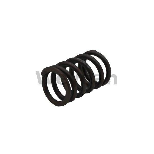 Valve spring 12134406 for MWM TCG2020 Gas Engine 