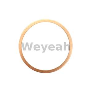 Jenbacher Parts Sealing Ring 100843 for Jenbacher J320 Gas Engine