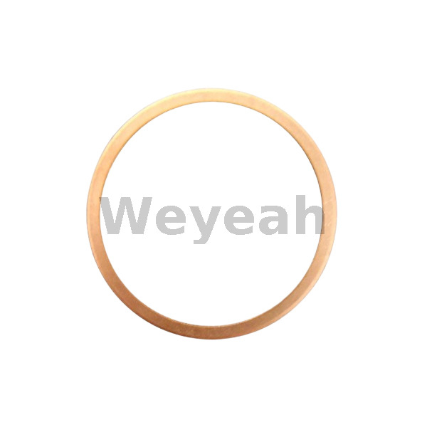 Jenbacher Parts Sealing Ring 100843 for Jenbacher J320 Gas Engine