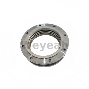 Compensator 12453291 for MWM TCG2020 Gas Engine