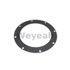 Round Flang.gasket 12301728 for MWM TCG2020 Gas Engine