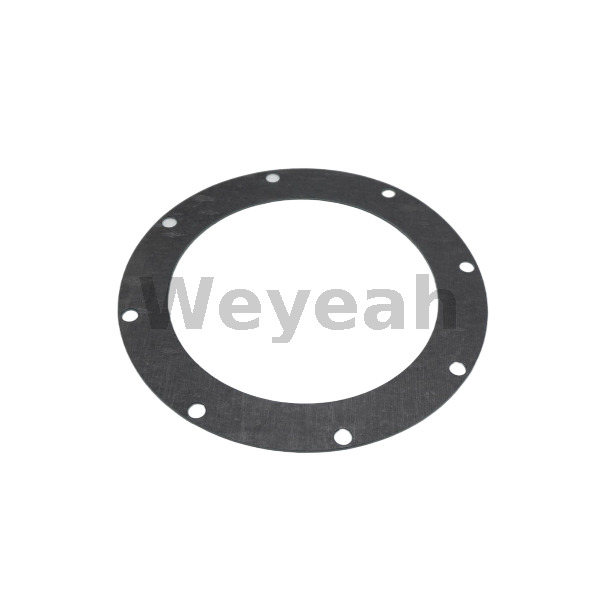 Round Flang.gasket 12301728 for MWM TCG2020 Gas Engine