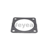 MWM 12301387 gasket for MWM TCG2020 TBG620 gas engine