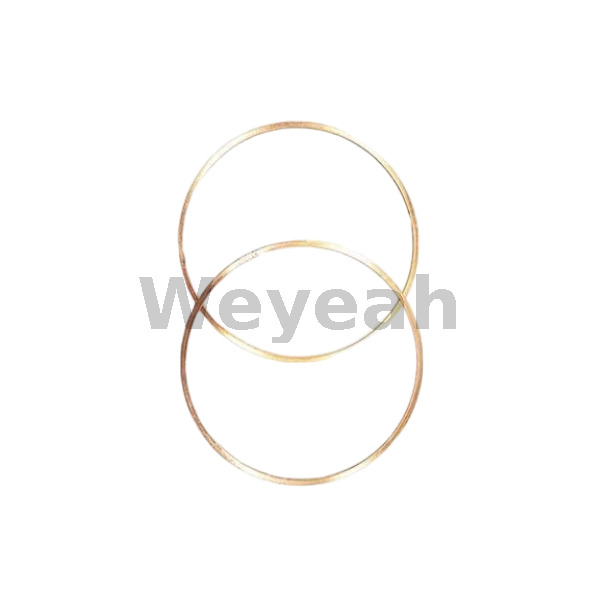 Ring Gasket 12032893 for MWM TCG2020 Gas Engine And Deutz TBD620