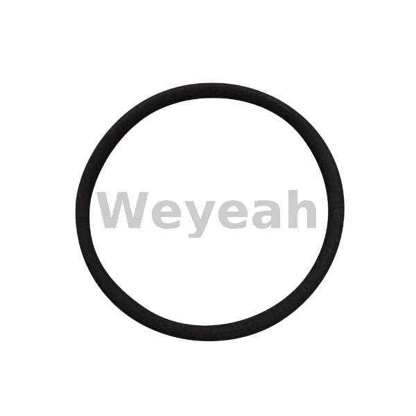O-Ring 2369071 for Jenbacher J420 Gas Engine