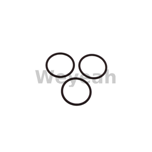 Jenbacher O-ring 105812 for Jenbacher gas engine