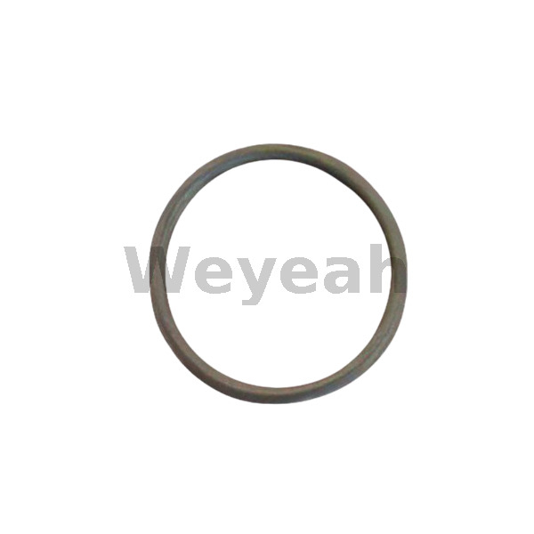 O-ring 174461 for Jenbacher gas engine