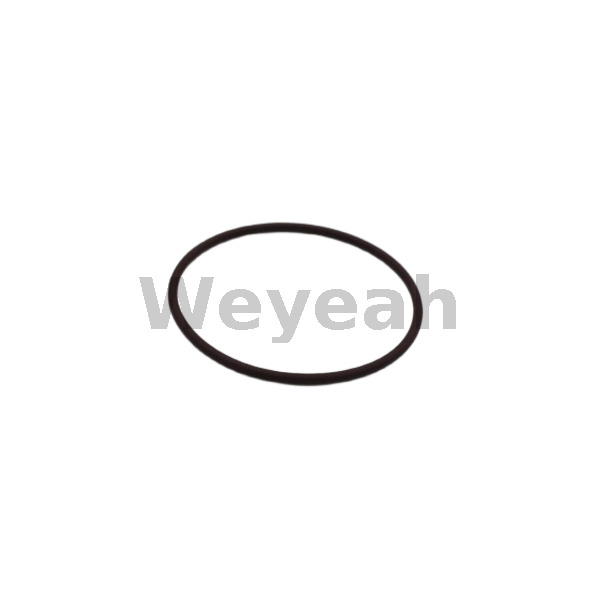Jenbacher 468727 O-ring for Jenbacher Gas Engine