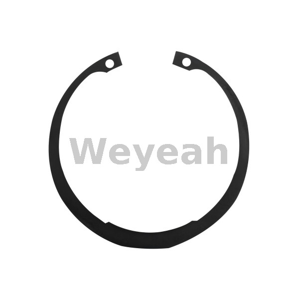 Snap Ring 102316 for Jenbacher J420 Gas Engine