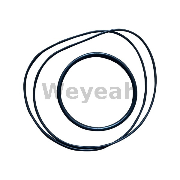 O Ring 1231361 for Jenbacher Engines Type 4