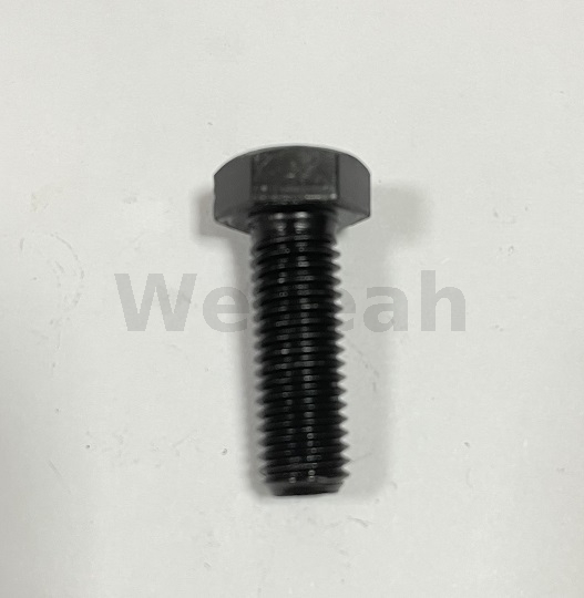 Hexagonal Head Screw 100473 for Jenbacher Gas Engine