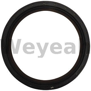 Shaft Seal 395571 for Jenbacher J420 Gas Engine