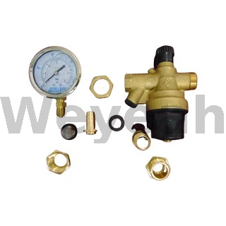 Filling Valve 110954 for Jenbacher Gas Engine