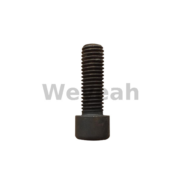 Cylinder Screw 408809 for Jenbacher Engines Type 6