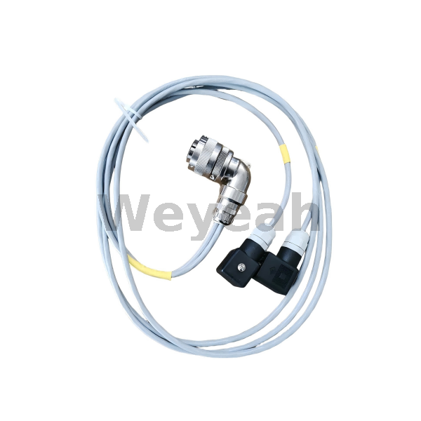 Cable 12479722 for MWM TCG2020 Gas Engine