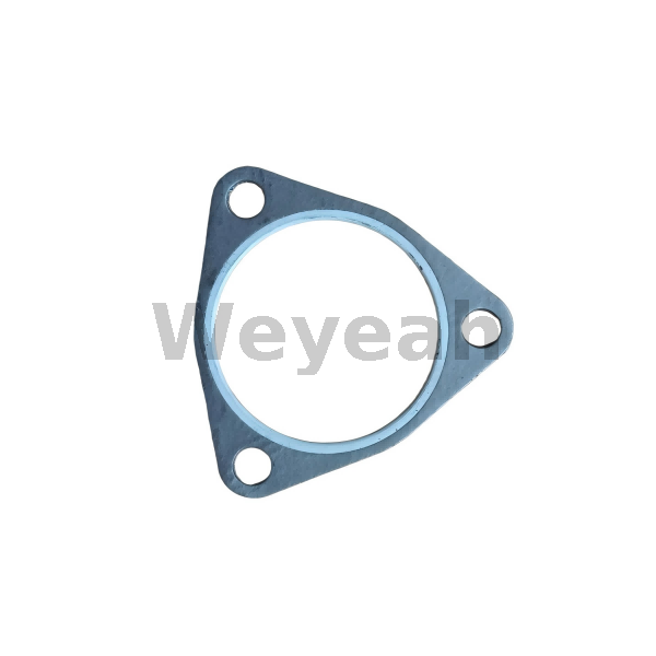 Shaped Packing 12307263 for MWM TCG2020 Gas Engine