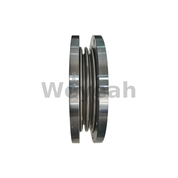 Compensator 12453291 for MWM TCG2020 Gas Engine