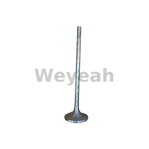 Exhaust valve 3074641 for CAT G3500 gas engine