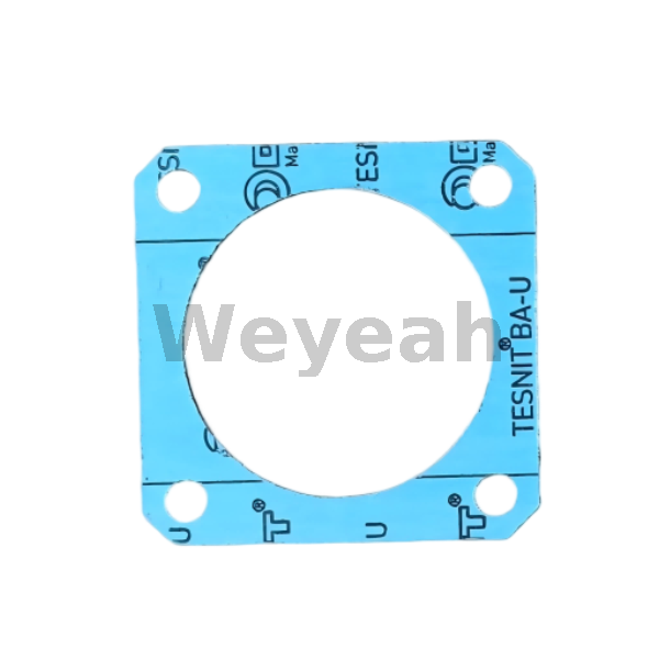 MWM 01167556 gasket for TCG2020 gas engine