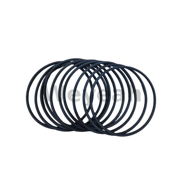 Jenbacher 457377 O-ring for Jenbacher Gas Engine