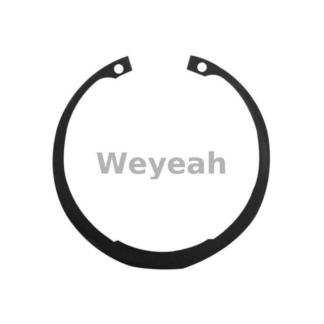 Snap Ring 102316 for Jenbacher J420 Gas Engine