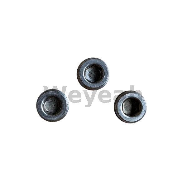 Jenbacher Parts Screw Plug 101165 for Jenbacher J320 Gas Engine