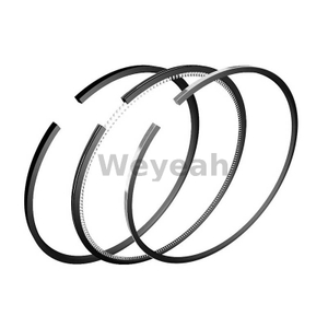 Set of Piston Rings 12211490 for MWM TCG2020 Gas Engine