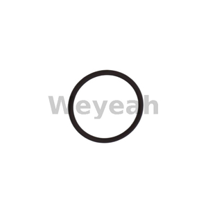 Sealing Ring 100829 for Jenbacher Gas Engine