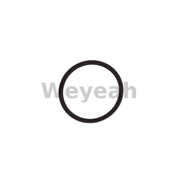 Sealing Ring 100829 for Jenbacher Gas Engine