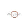 Sealing Ring 100837 for Jenbacher Gas Engine