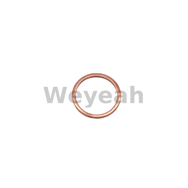 Sealing Ring 100837 for Jenbacher Gas Engine