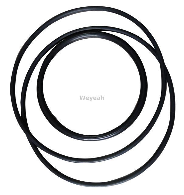 O-Ring 301384 for Jenbacher Engines Type 4