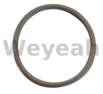 O-ring 174461 for Jenbacher gas engine