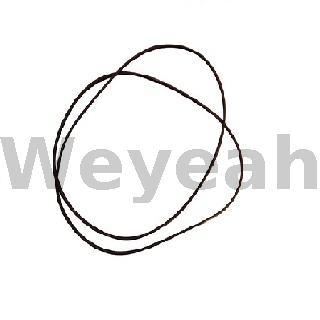 Jenbacher 212134 O-ring for Jenbacher Gas Engine