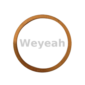 Sealing Ring 540807 for Jenbacher Engines Type 6